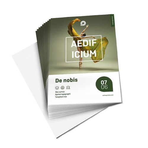Papier-Flyer, einseitig bedruckt.