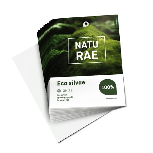 Naturpapier-Flyer, einseitig bedruckt.