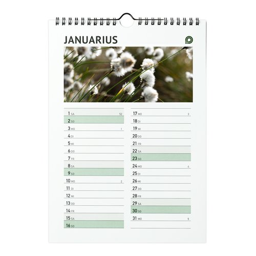 Papier Wandkalender mit Spiralbindung und Aufhnger.